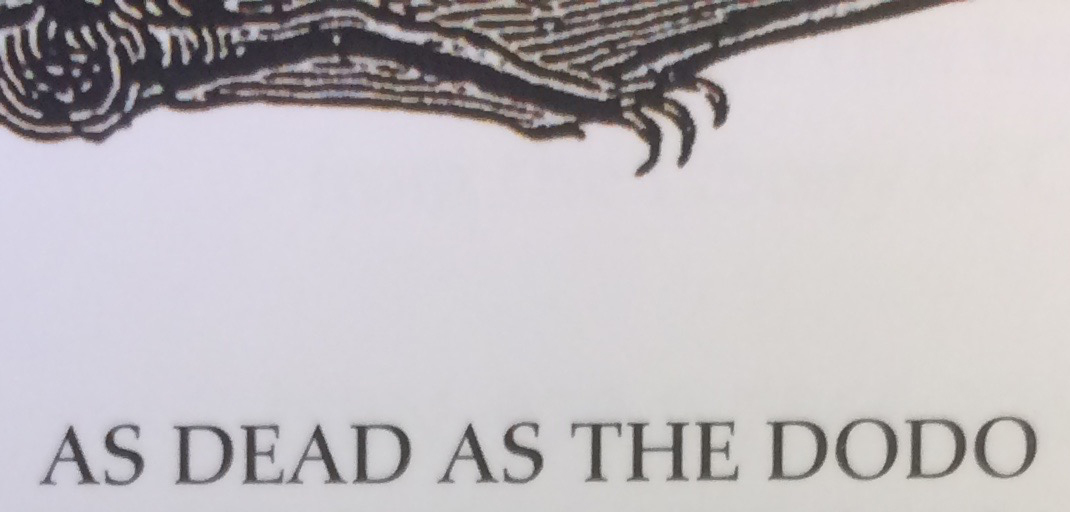 image of a wing with text " as dead as the dodo "