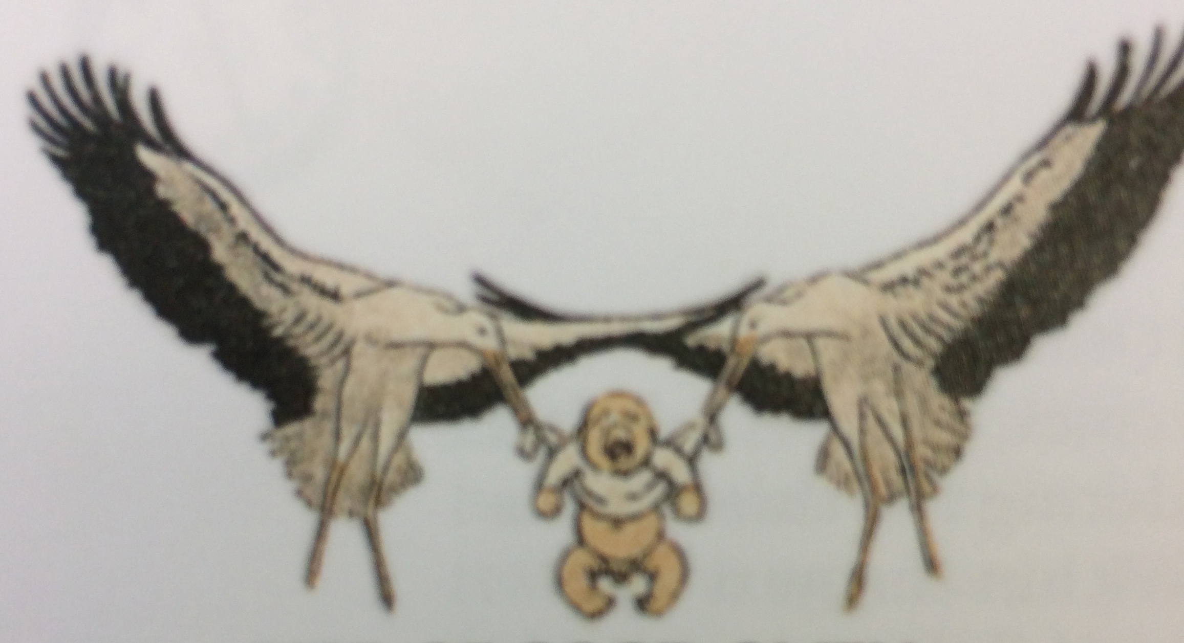 drawing of a baby crying while being carried by two storks